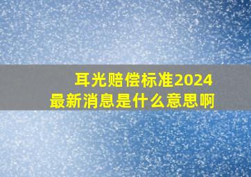 耳光赔偿标准2024最新消息是什么意思啊