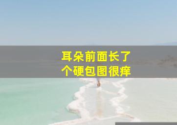 耳朵前面长了个硬包图很痒