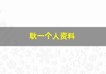 耿一个人资料