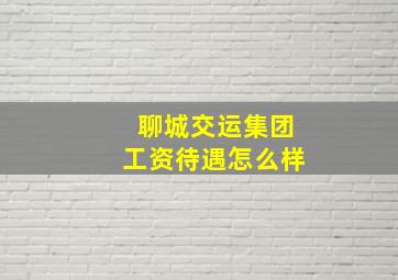 聊城交运集团工资待遇怎么样