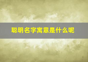 聪明名字寓意是什么呢