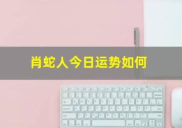 肖蛇人今日运势如何