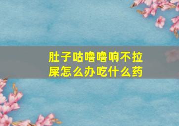 肚子咕噜噜响不拉屎怎么办吃什么药