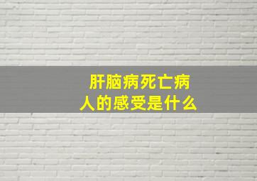 肝脑病死亡病人的感受是什么