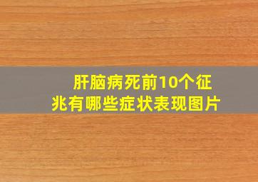 肝脑病死前10个征兆有哪些症状表现图片