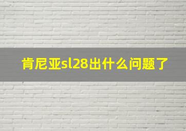 肯尼亚sl28出什么问题了