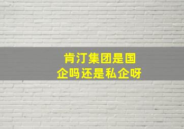 肯汀集团是国企吗还是私企呀