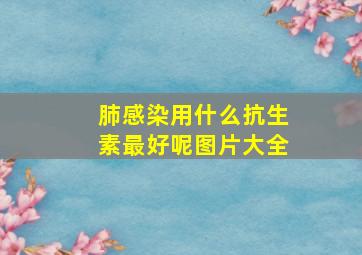 肺感染用什么抗生素最好呢图片大全