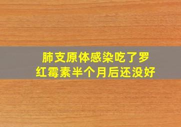 肺支原体感染吃了罗红霉素半个月后还没好