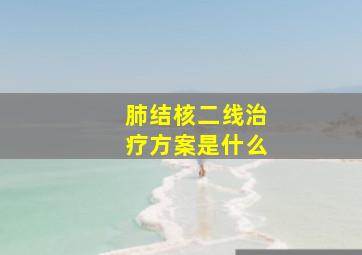 肺结核二线治疗方案是什么