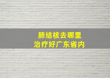 肺结核去哪里治疗好广东省内