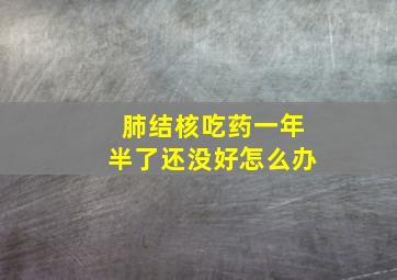 肺结核吃药一年半了还没好怎么办