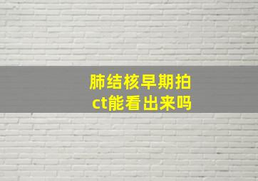 肺结核早期拍ct能看出来吗