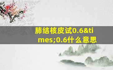 肺结核皮试0.6×0.6什么意思