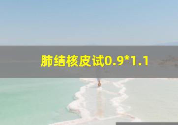 肺结核皮试0.9*1.1