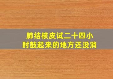 肺结核皮试二十四小时鼓起来的地方还没消