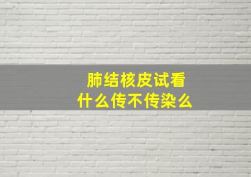 肺结核皮试看什么传不传染么