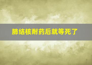 肺结核耐药后就等死了