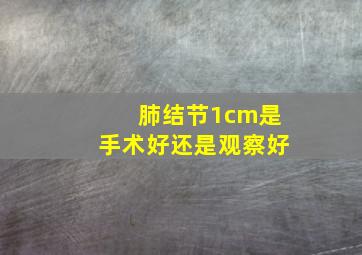 肺结节1cm是手术好还是观察好