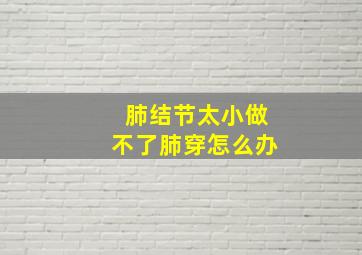 肺结节太小做不了肺穿怎么办