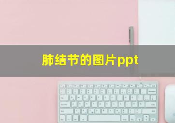 肺结节的图片ppt