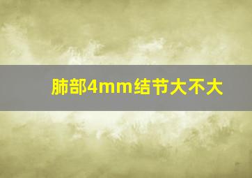 肺部4mm结节大不大