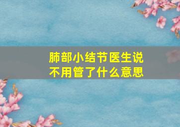 肺部小结节医生说不用管了什么意思