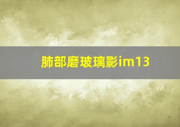 肺部磨玻璃影im13