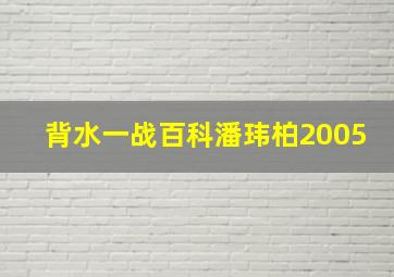 背水一战百科潘玮柏2005