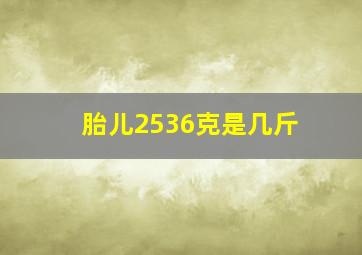 胎儿2536克是几斤