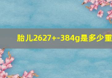 胎儿2627+-384g是多少重