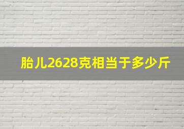 胎儿2628克相当于多少斤