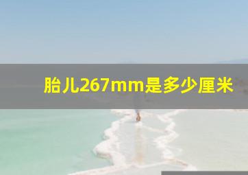 胎儿267mm是多少厘米