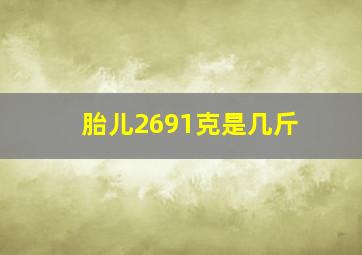 胎儿2691克是几斤