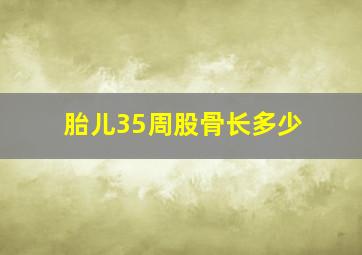 胎儿35周股骨长多少