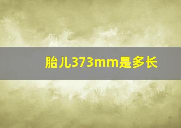 胎儿373mm是多长