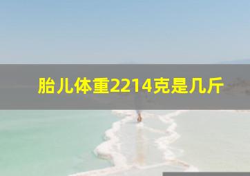 胎儿体重2214克是几斤