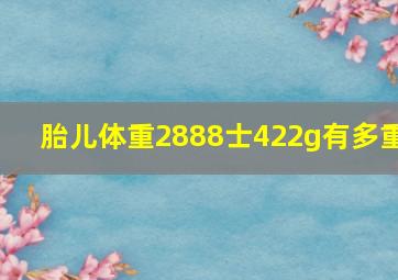 胎儿体重2888士422g有多重