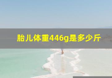 胎儿体重446g是多少斤