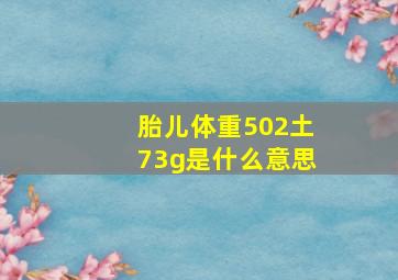 胎儿体重502土73g是什么意思