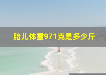 胎儿体重971克是多少斤