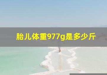 胎儿体重977g是多少斤