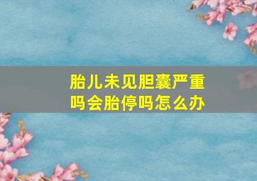 胎儿未见胆囊严重吗会胎停吗怎么办