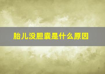 胎儿没胆囊是什么原因