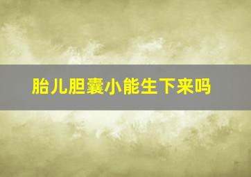 胎儿胆囊小能生下来吗