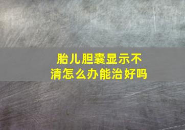 胎儿胆囊显示不清怎么办能治好吗