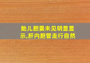 胎儿胆囊未见明显显示,肝内胆管走行自然