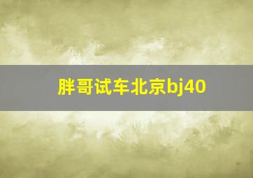 胖哥试车北京bj40