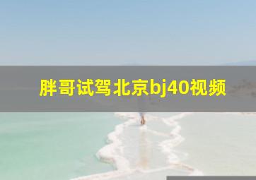 胖哥试驾北京bj40视频