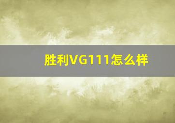 胜利VG111怎么样